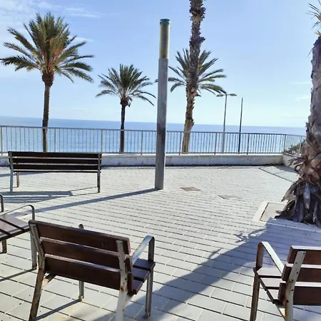 Mil Palmeras Danuriaes * Pilar de la Horadada