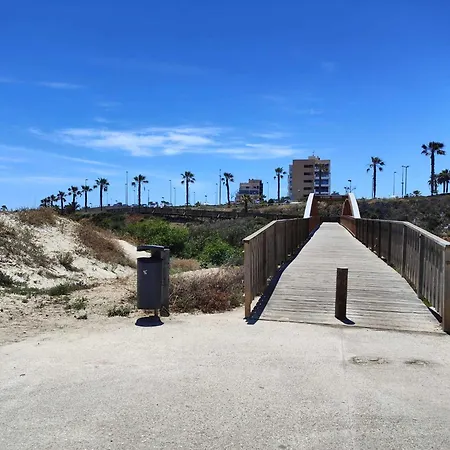 Mil Palmeras Danuriaes